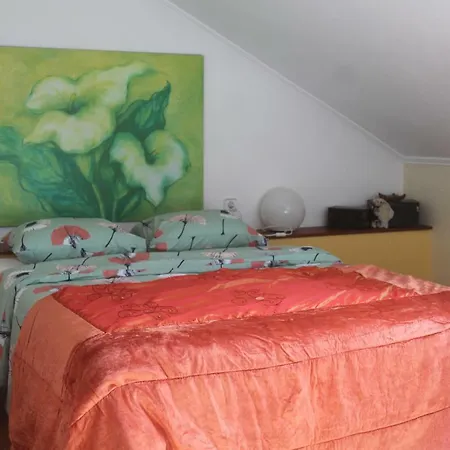 Σπίτι διακοπών Casa De Vinha: Casa Principal Bombardeira