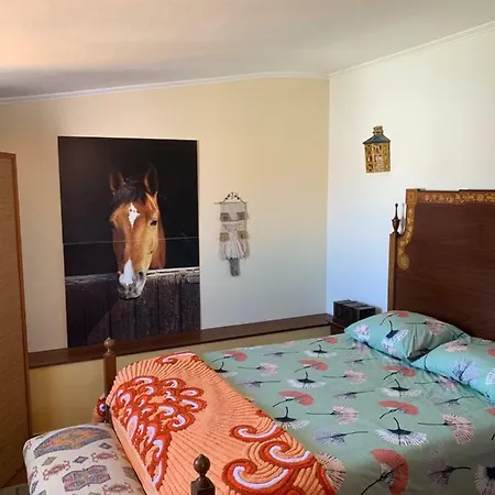 Casa De Vinha: Casa Principal Σπίτι διακοπών