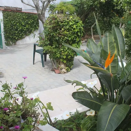 Casa De Vinha: Casa Principal Bombardeira