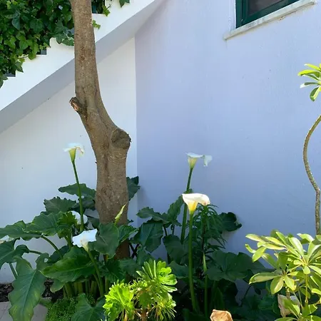 Σπίτι διακοπών Casa De Vinha: Casa Principal Bombardeira