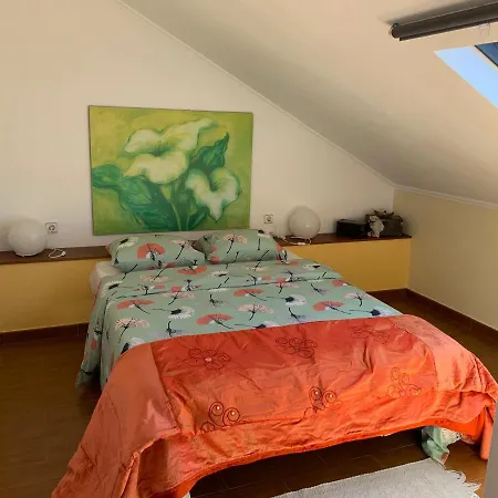 Σπίτι διακοπών Casa De Vinha: Casa Principal Bombardeira